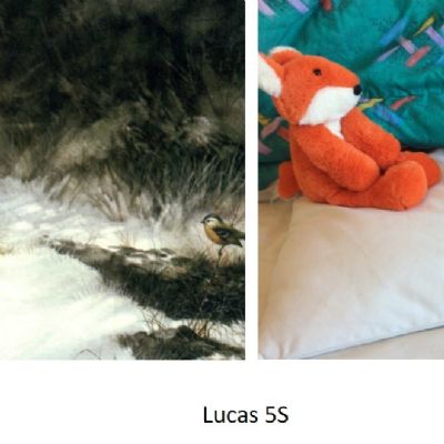 Lucas 5S